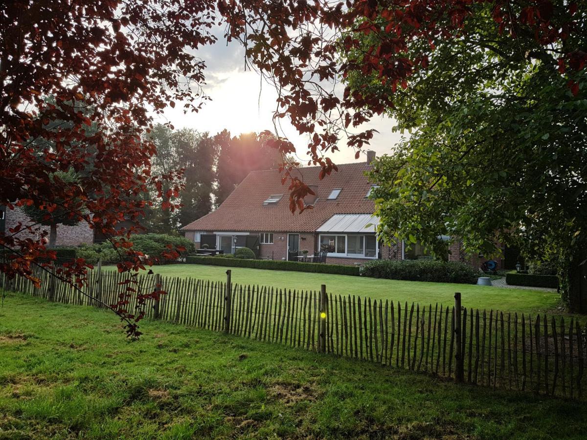 B&B Bergenhof Hoogstraten Esterno foto