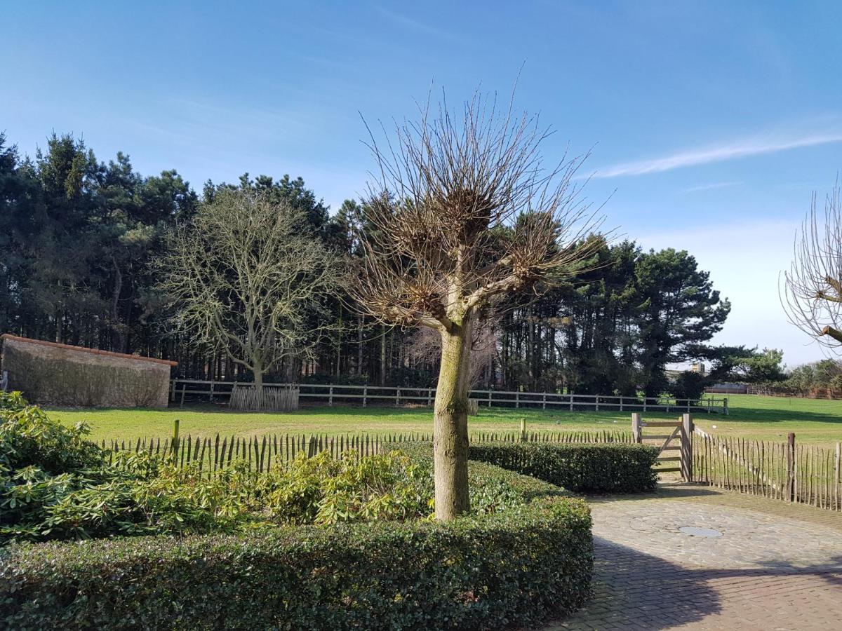B&B Bergenhof Hoogstraten Esterno foto