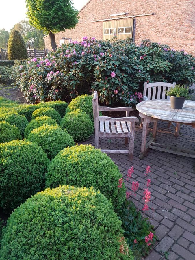 B&B Bergenhof Hoogstraten Esterno foto